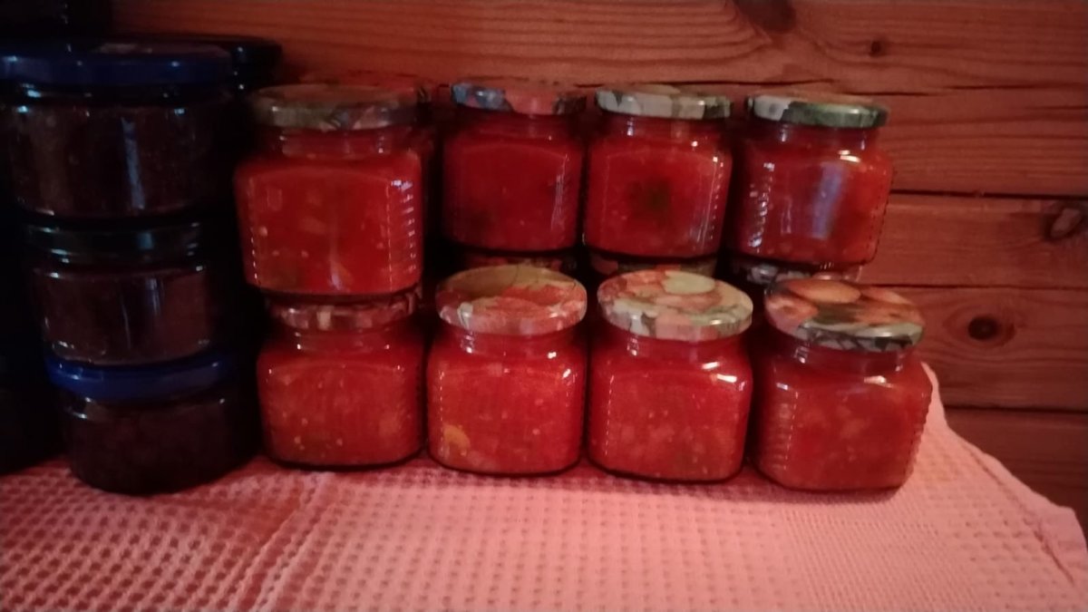 Изображение WhatsApp 2025-08-01 в 18.49.00_64f3d2ee.jpg