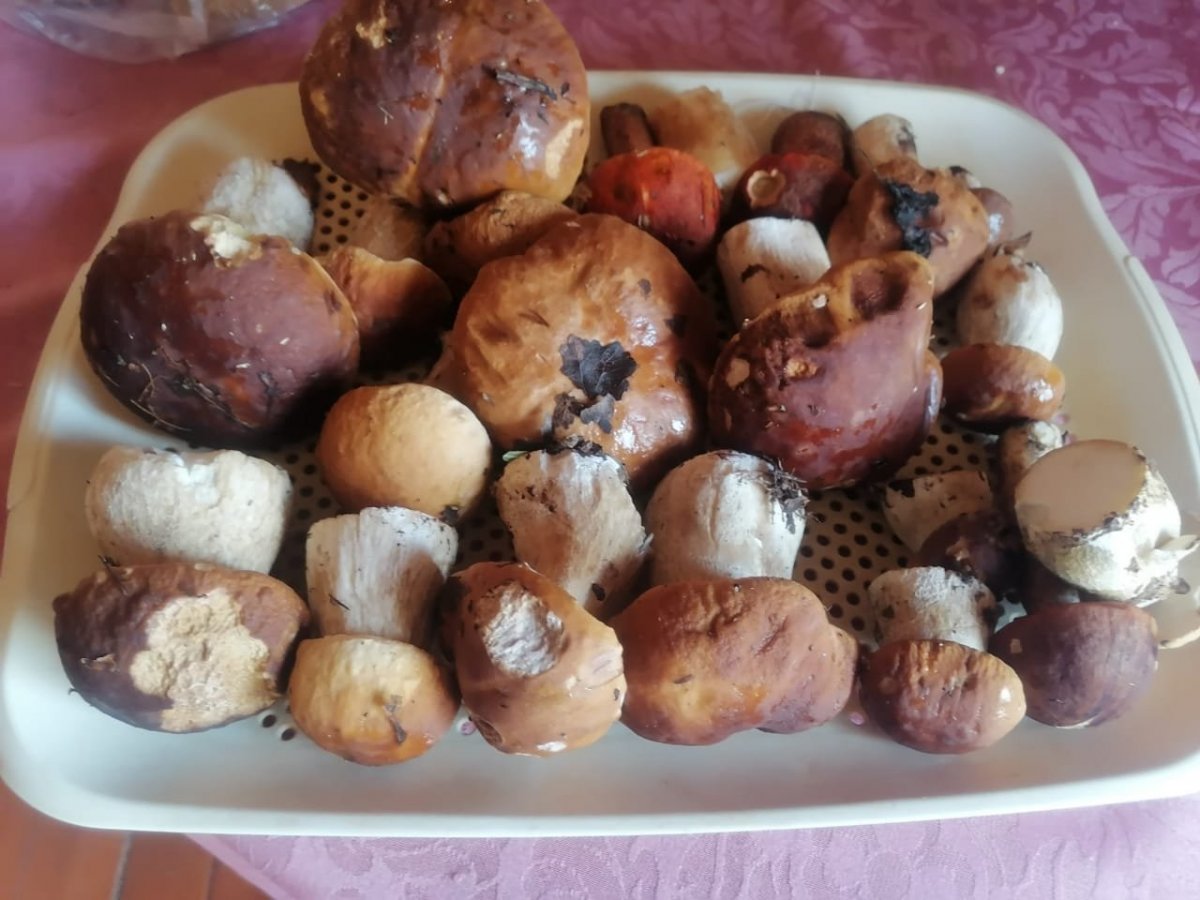 Изображение WhatsApp 2025-08-23 в 12.16.16_034066c3.jpg