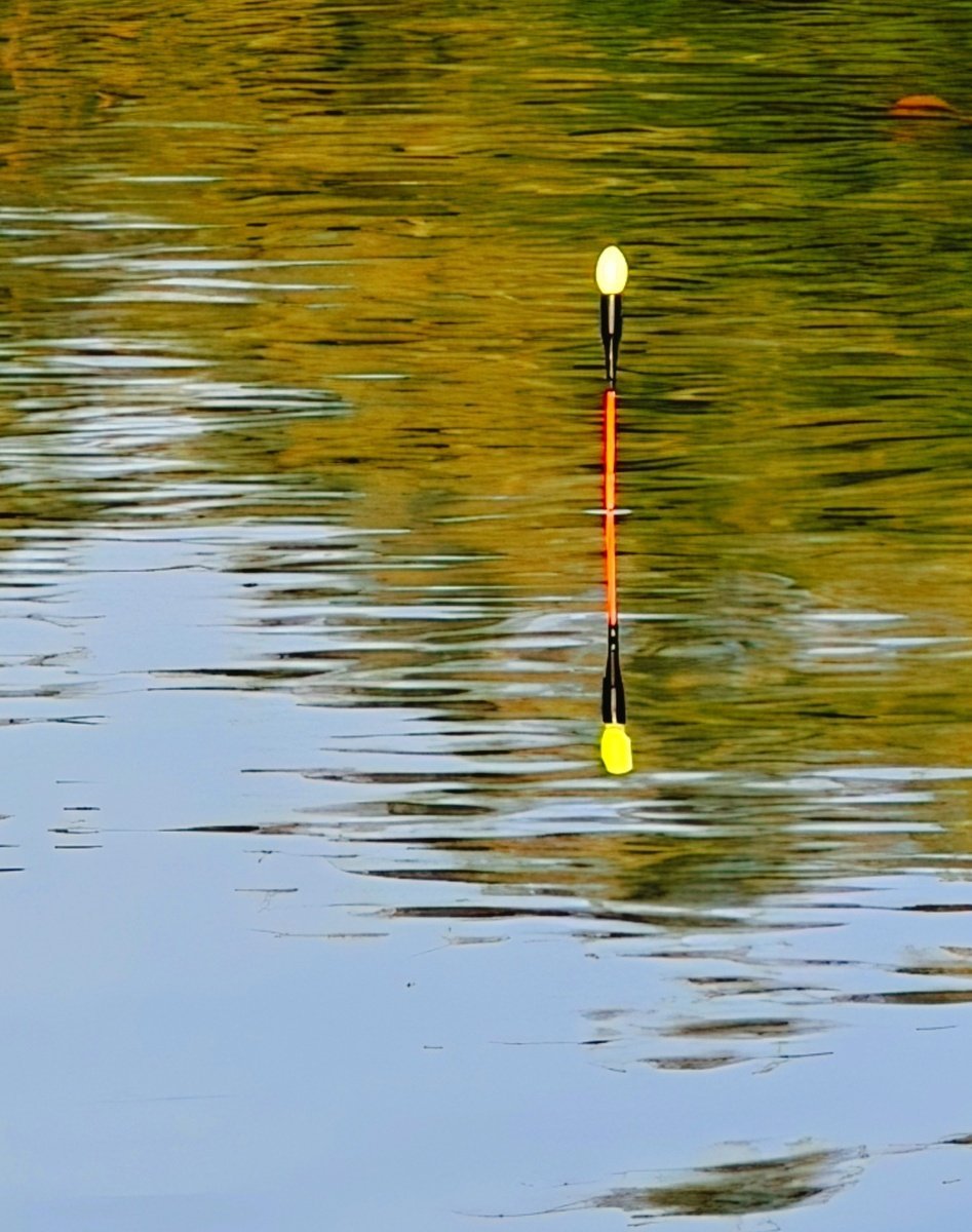 scale_1200.jpg.00d55738917f81c0ae344122dbbfca41.jpg