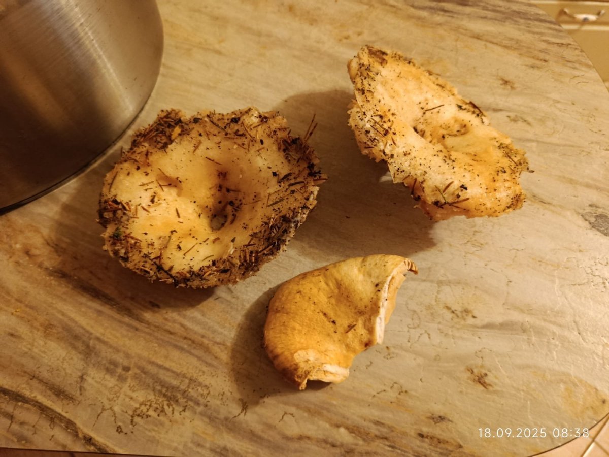 WhatsApp Image 2025-09-18 at 08.39.15.jpeg