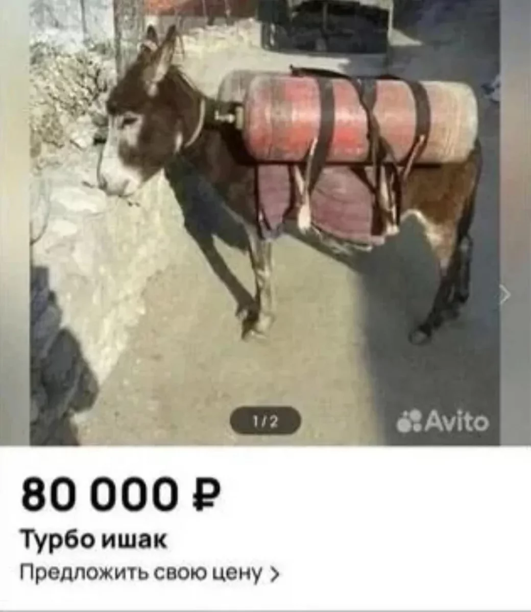 так-вот-куда-друг-ушел-v0-mionsrd1m9rf1.webp