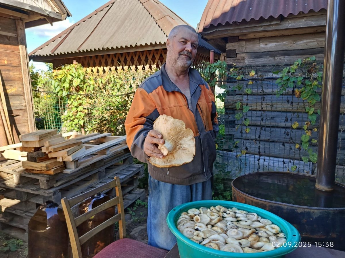 WhatsApp Image 2025-09-03 at 18.16.20(1).jpeg