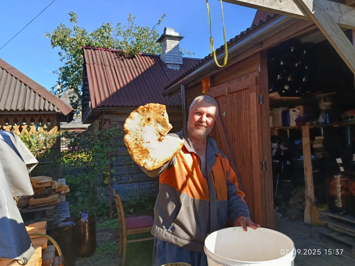 WhatsApp Image 2025-09-03 at 18.16.21.jpeg