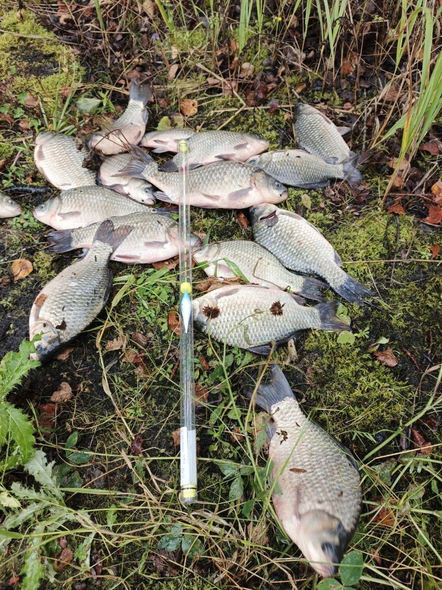 scale_1200.jpg.4b6b58556bb9cf7bd4fa7a4968f31374.jpg