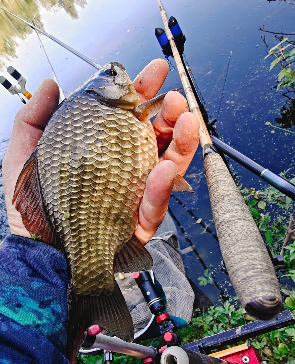 scale_1200.jpg.8105140d5061d7c2acf7e16016962bee.jpg