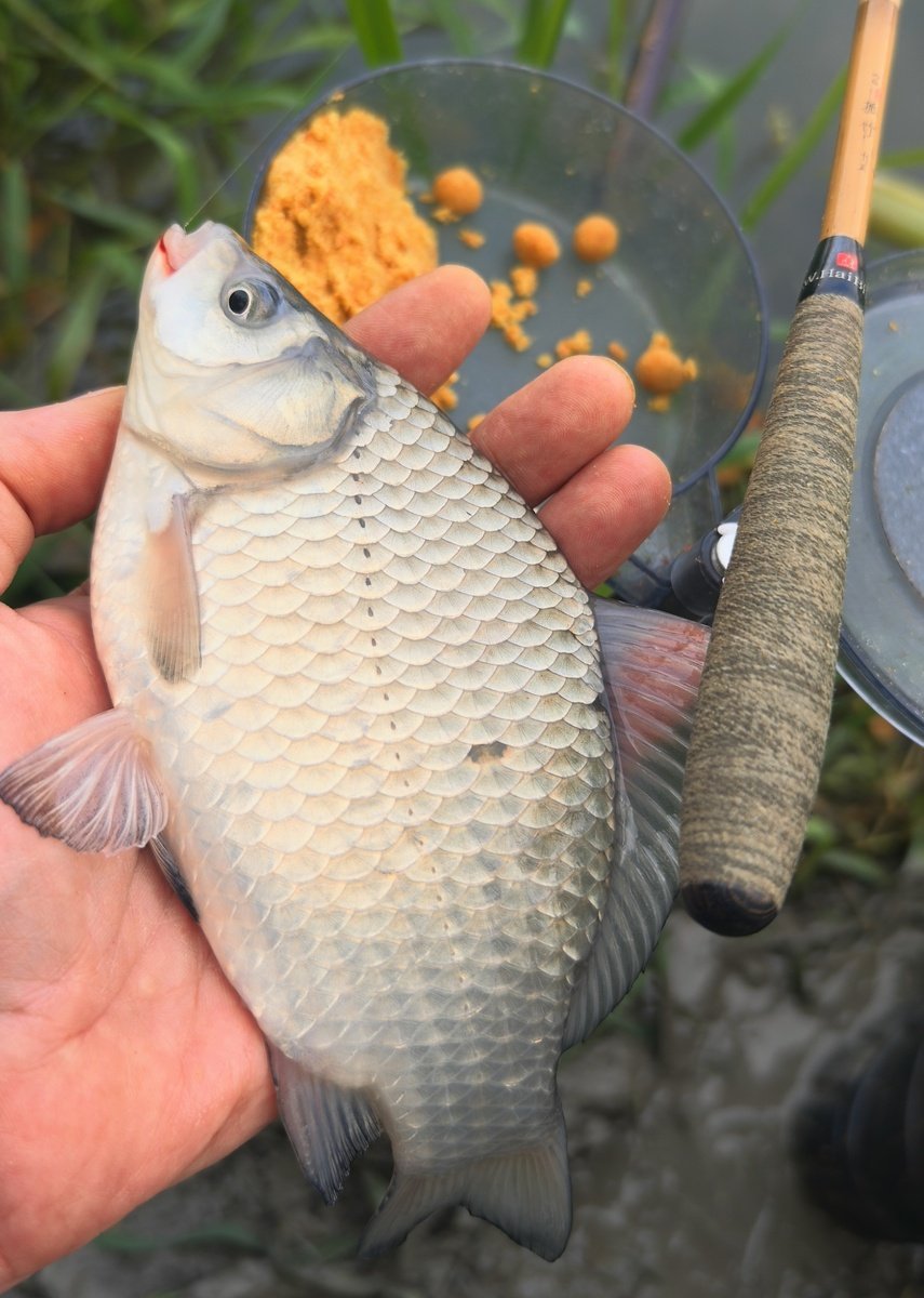 scale_1200.jpg.b46bfd8b7baa07fd13ed03d5f54c8daa.jpg