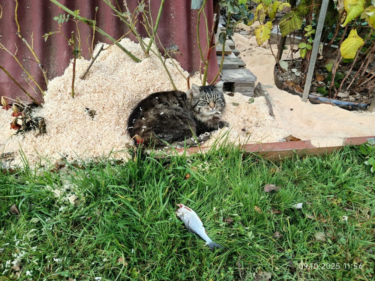 WhatsApp Image 2025-10-15 at 20.26.54(2).jpeg