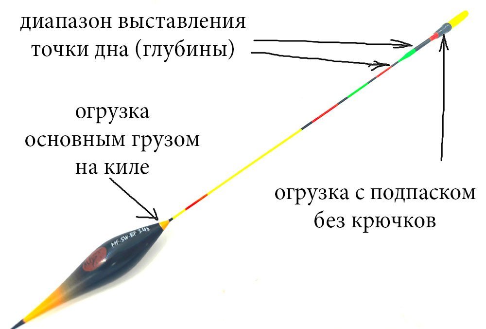 scale_1200.jpg.2639cd98ba142119c31225962e411b90.jpg