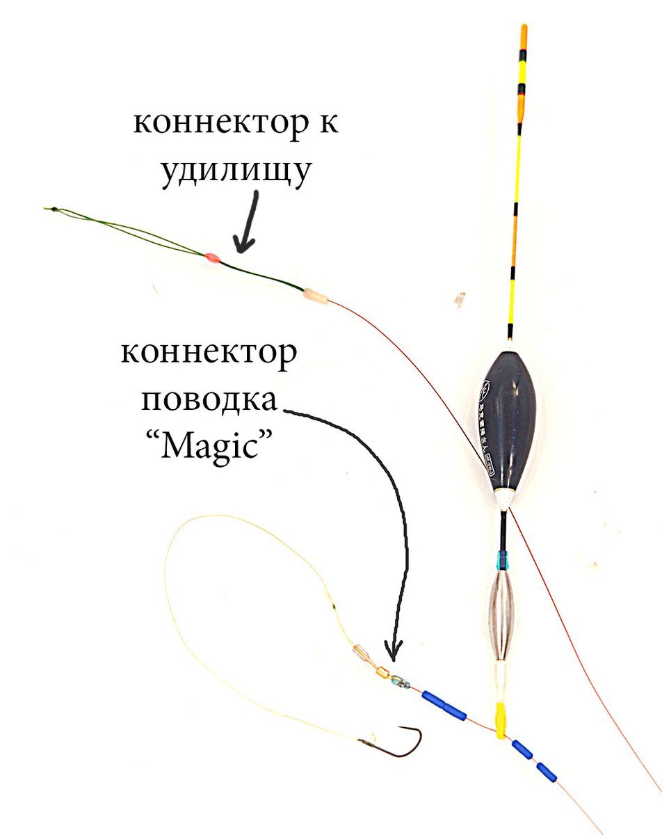scale_1200.jpg.c04b09d70fbe4d2b289accf64337c222.jpg