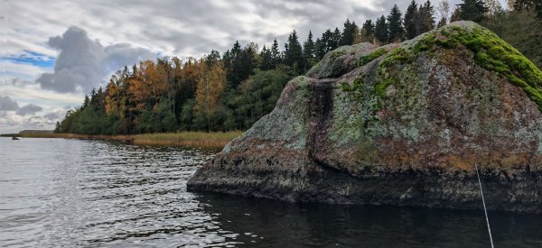 Туса Максфишинга 2025 Осень