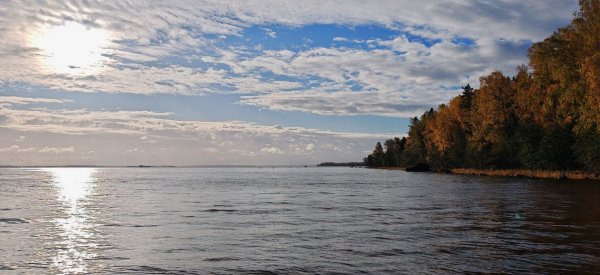 Туса Максфишинга 2025 Осень