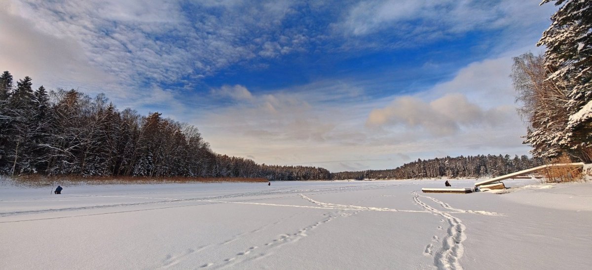 WhatsApp Image 2026-01-09 -06.jpeg