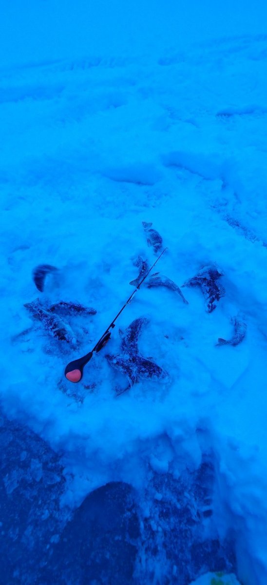 WhatsApp Image 2026-01-05 at 11.23.27-00.jpeg