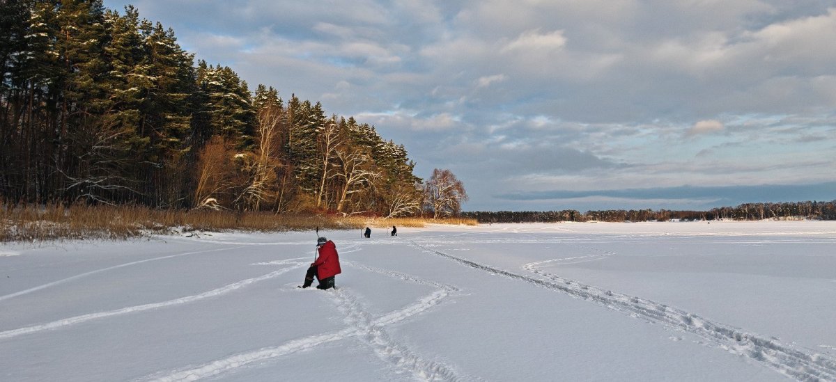 WhatsApp Image 2026-01-05 at 11.23.27-13.jpeg