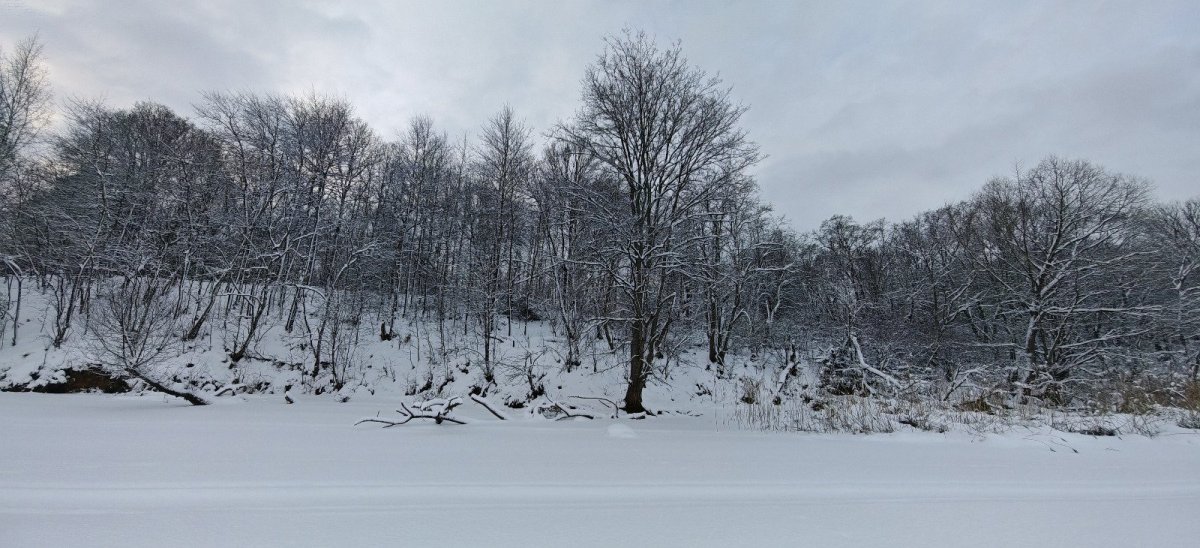 WhatsApp Image 2026-01-05 at 11.23.27-08.jpeg