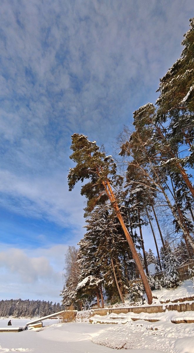 WhatsApp Image 2026-01-09 -05.jpeg