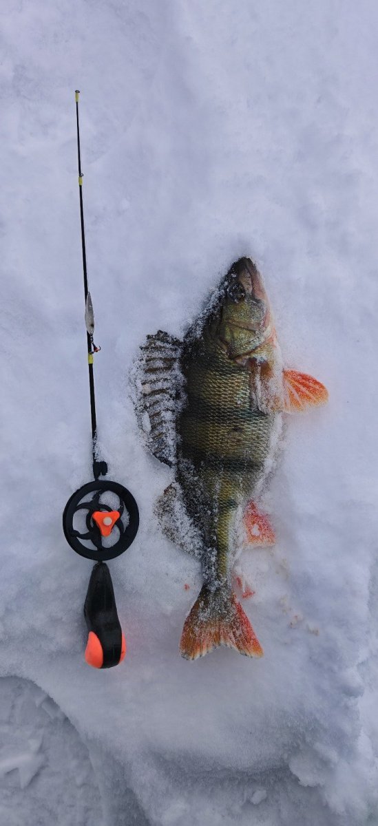 WhatsApp Image 2026-01-09 -09.jpeg