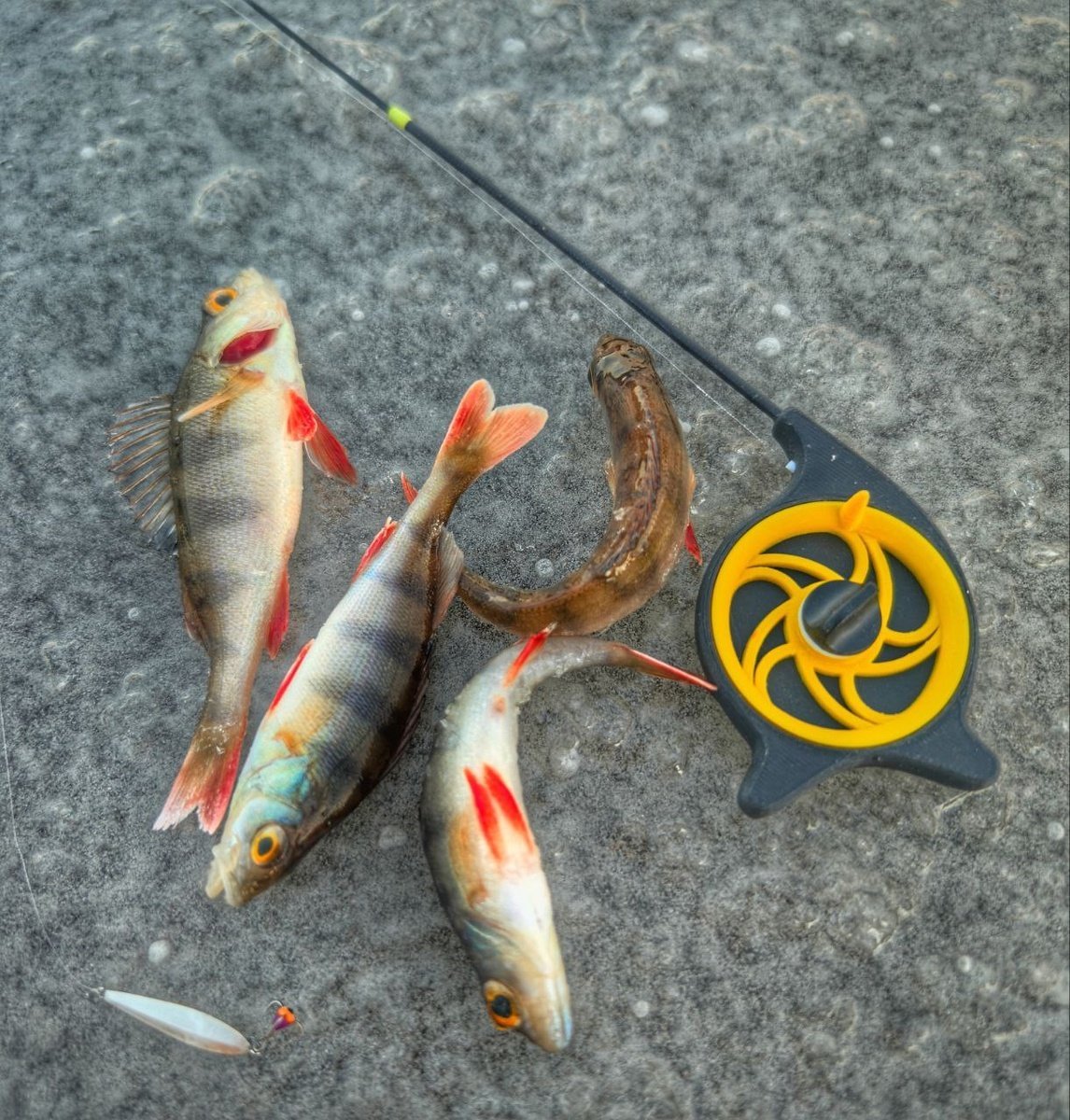 1Ue2n1P194fe9a75i0uYvi828lj7xM3e7JjV1B50RTxGEdF5e4Ms3jGI9KseWr5WzMT1LfqJmXVfBe5GmVHb4G5PFpLBbZHqROuZaVYl4t3Qo6ex2xG215speGbyVoYQcBy1Xl6S0SKq56jMvvUgoVwgWlx04k1YjREmONxD5zObziXcmmzrHl5OqRJ5VDzK0x0QdnHiM4oJRdLbTFuNOxYx44h50zCcZArPcg (1).jpg