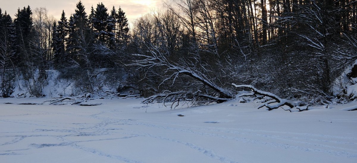 WhatsApp Image 2026-01-05 at 11.23.27-12.jpeg