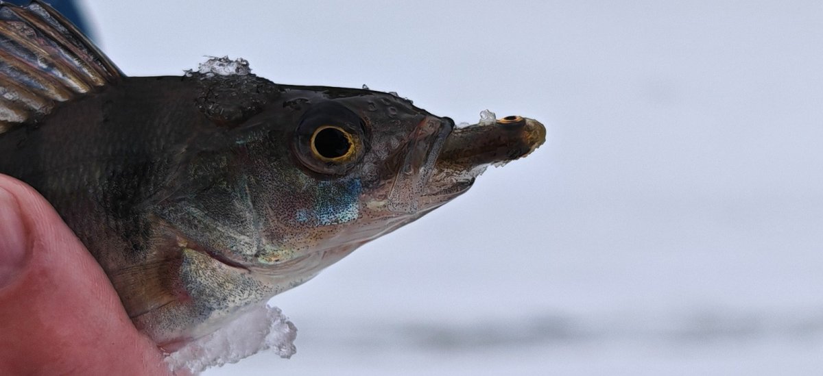 WhatsApp Image 2026-01-09 -07.jpeg