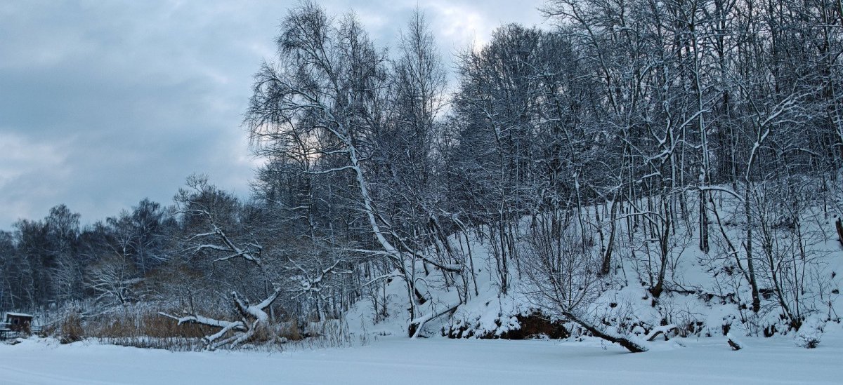 WhatsApp Image 2026-01-05 at 11.23.27-07.jpeg