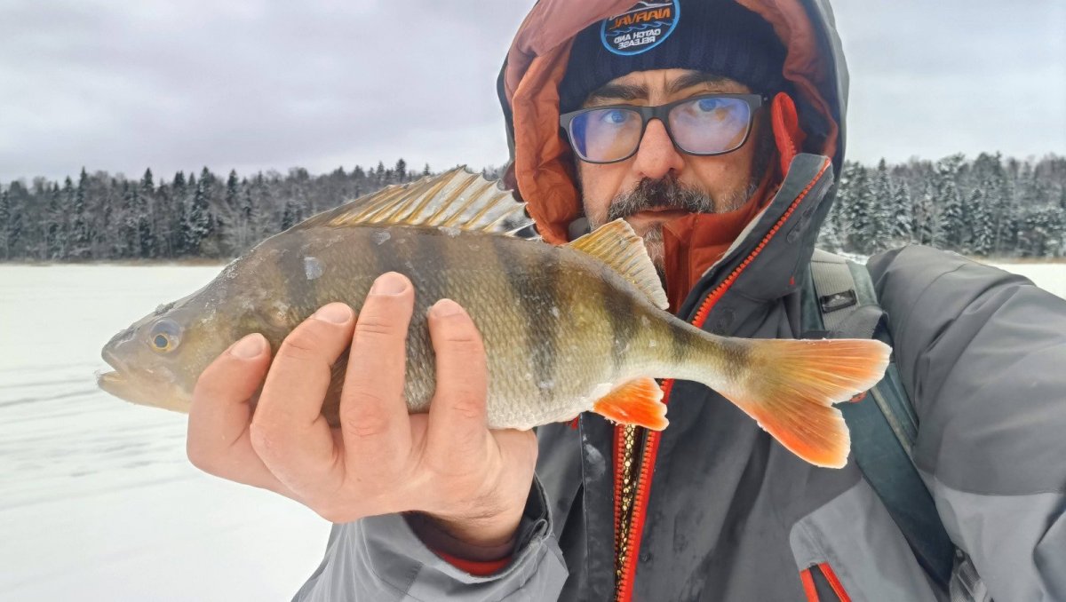 WhatsApp Image 2026-01-09 -11.jpeg