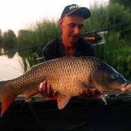 Максим Колганов