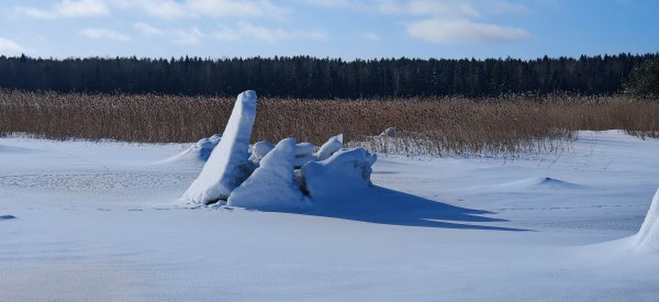 Туса Максфишинга 2026 зима