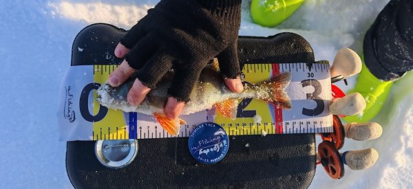 Туса Максфишинга 2026 зима