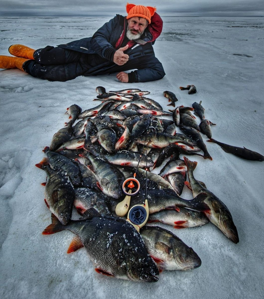 scale_1200 (11).jpg