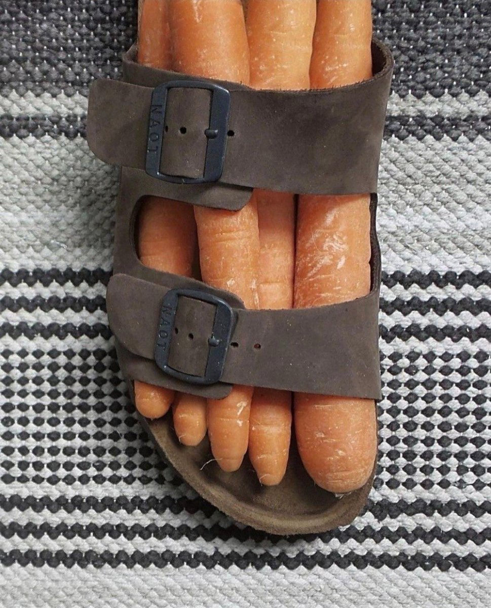 20893659.jpg