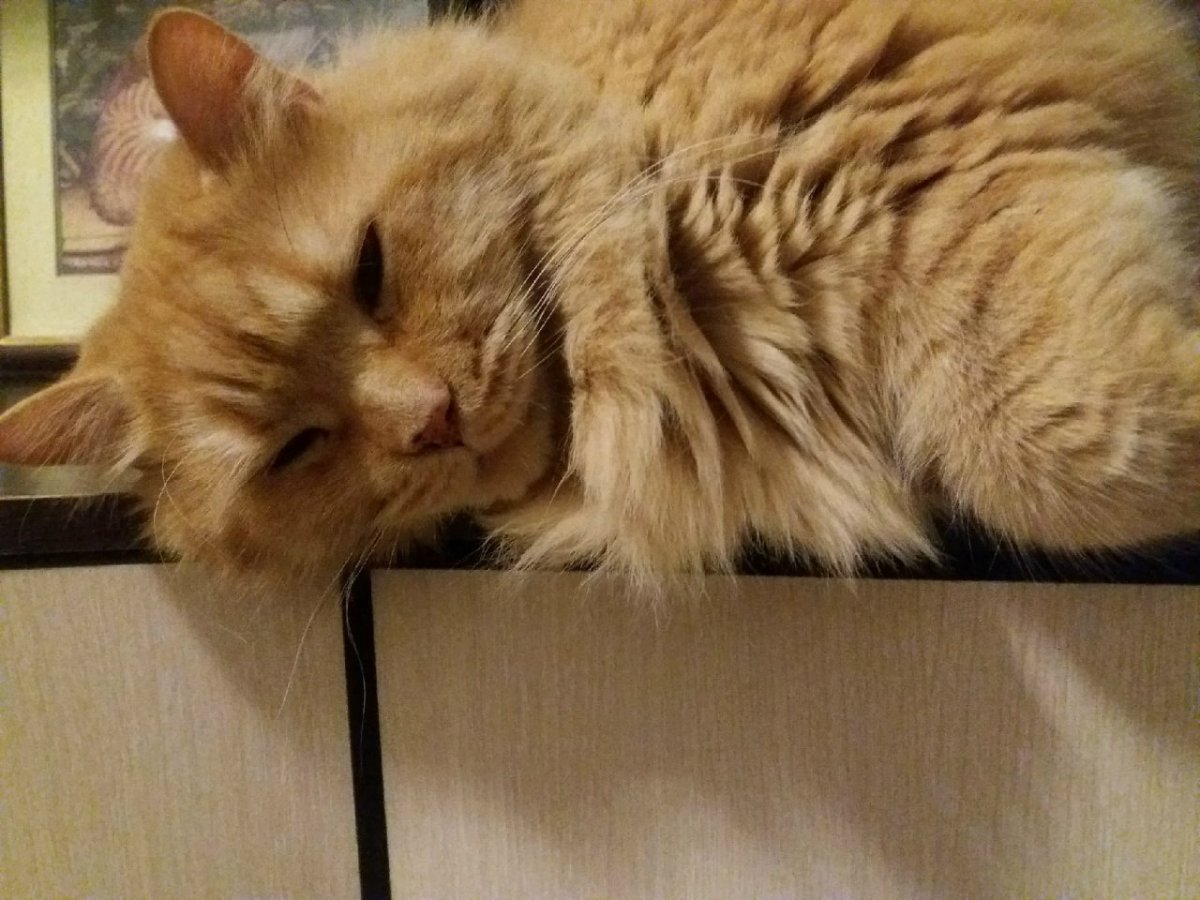 dG51FDsZjppkFjtm-1NIAh_663kavFj0ETwgpCy2ExZABmq2ZkoOVHaN4MUUnrsSzE77W3YiWdhFTgftsyfIh2hf.jpg
