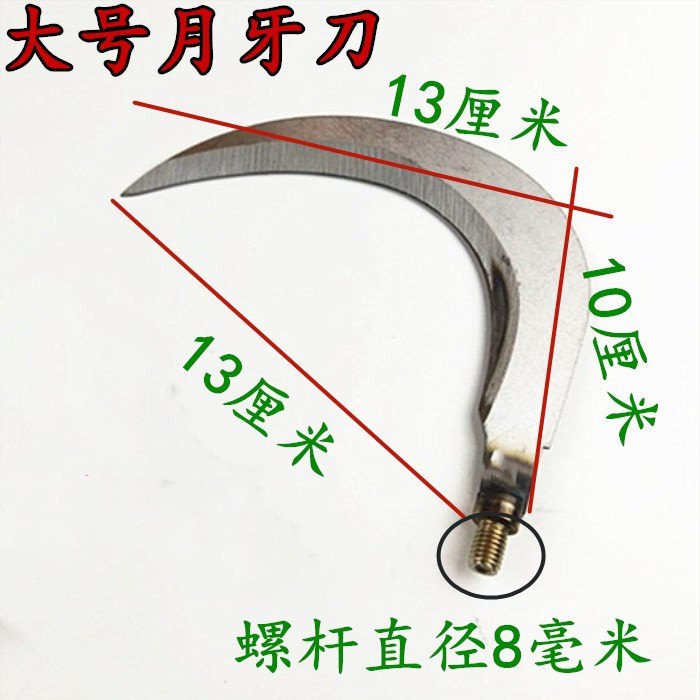 scale_1200 (1).png