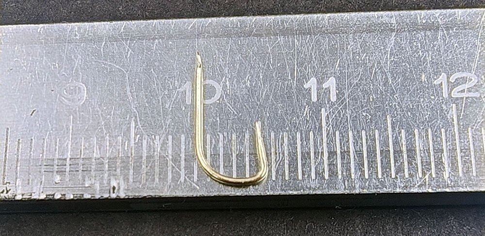 scale_1200 (32).jpg