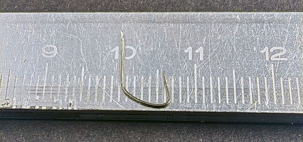 scale_1200 (22).jpg
