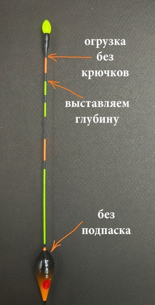 scale_1200 (13).jpg