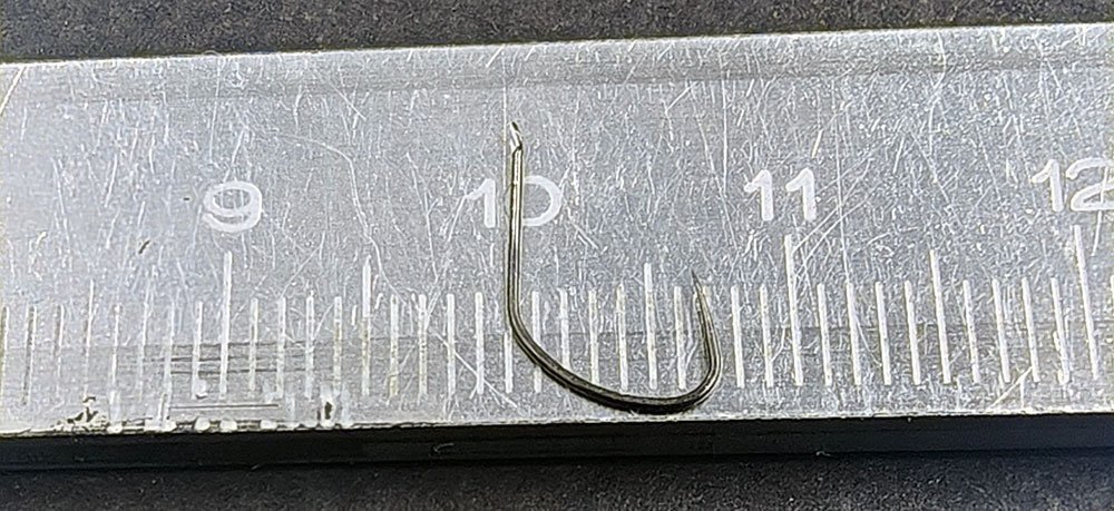 scale_1200 (23).jpg
