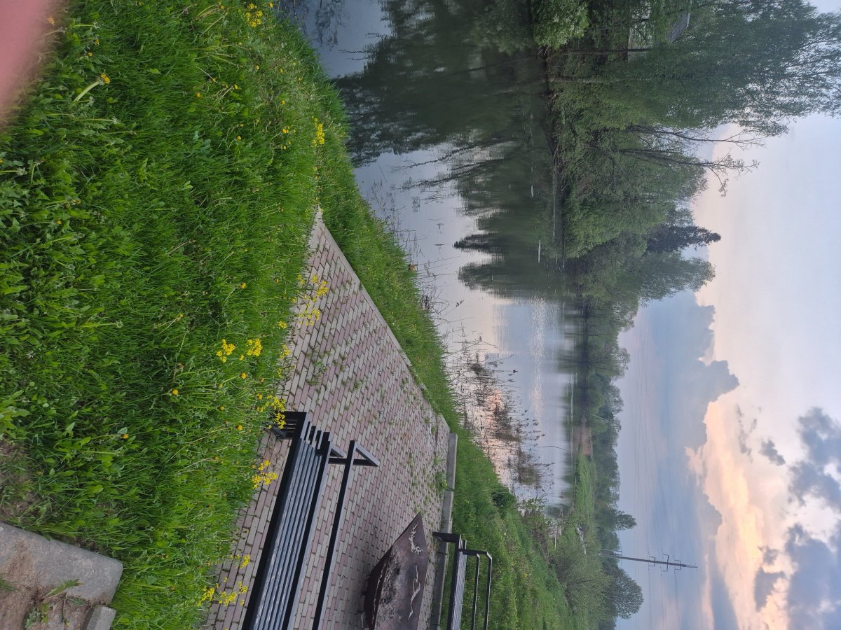 20260514_202211.jpg