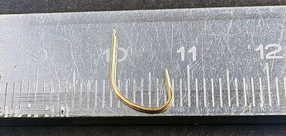 scale_1200 (25).jpg