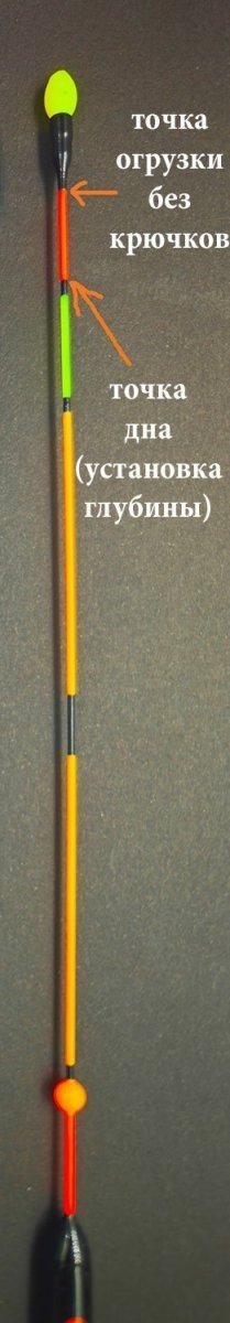 scale_1200 (55).jpg