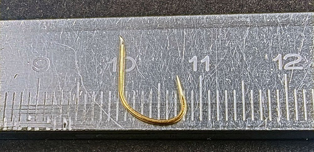 scale_1200 (27).jpg