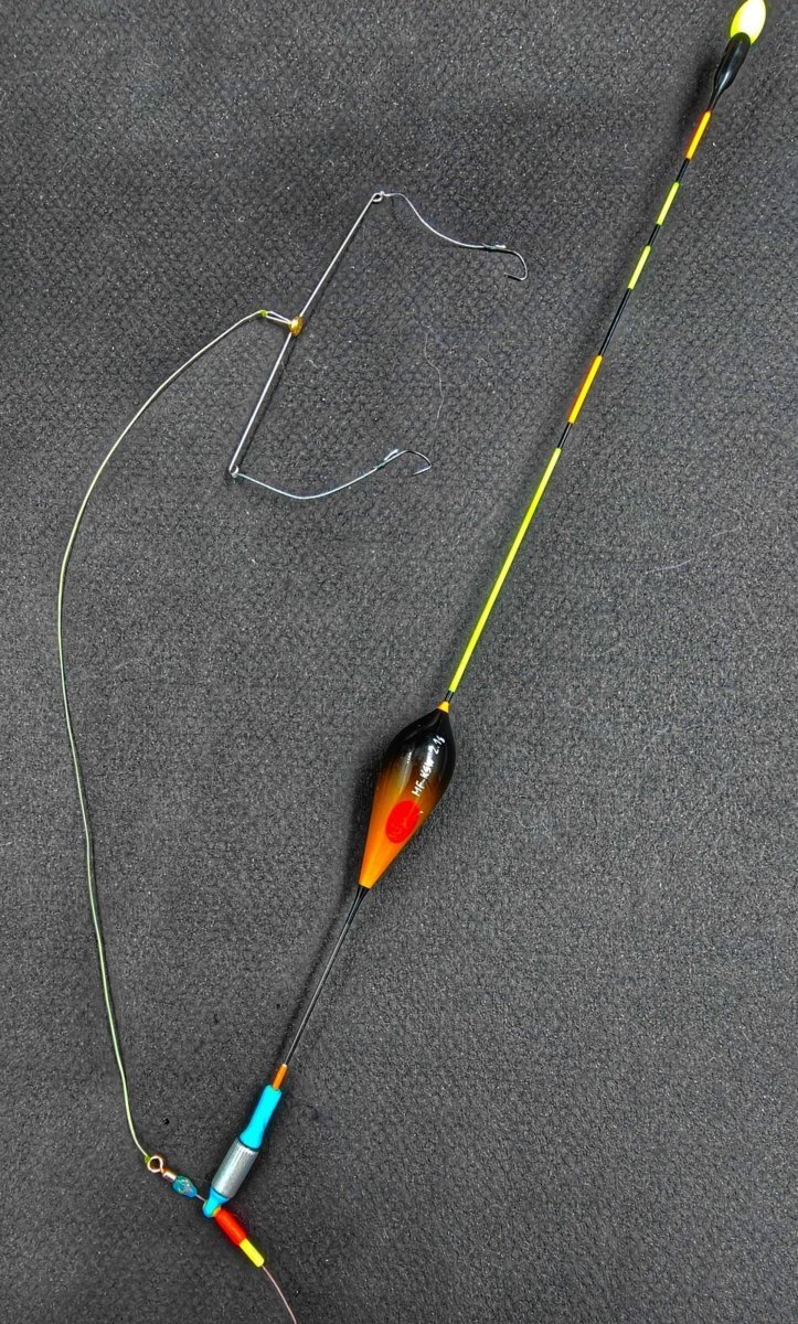 scale_1200 (12).jpg