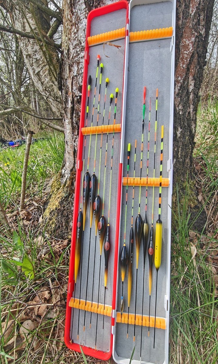 scale_1200 (10).jpg