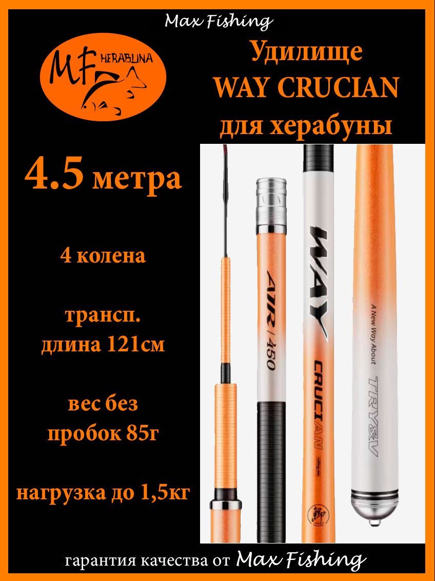 scale_1200 (6).jpg