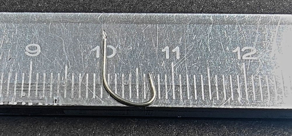 scale_1200 (20).jpg