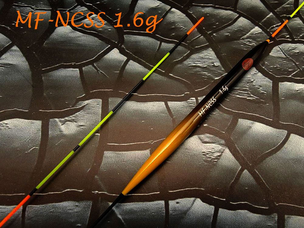 scale_1200 (1).png