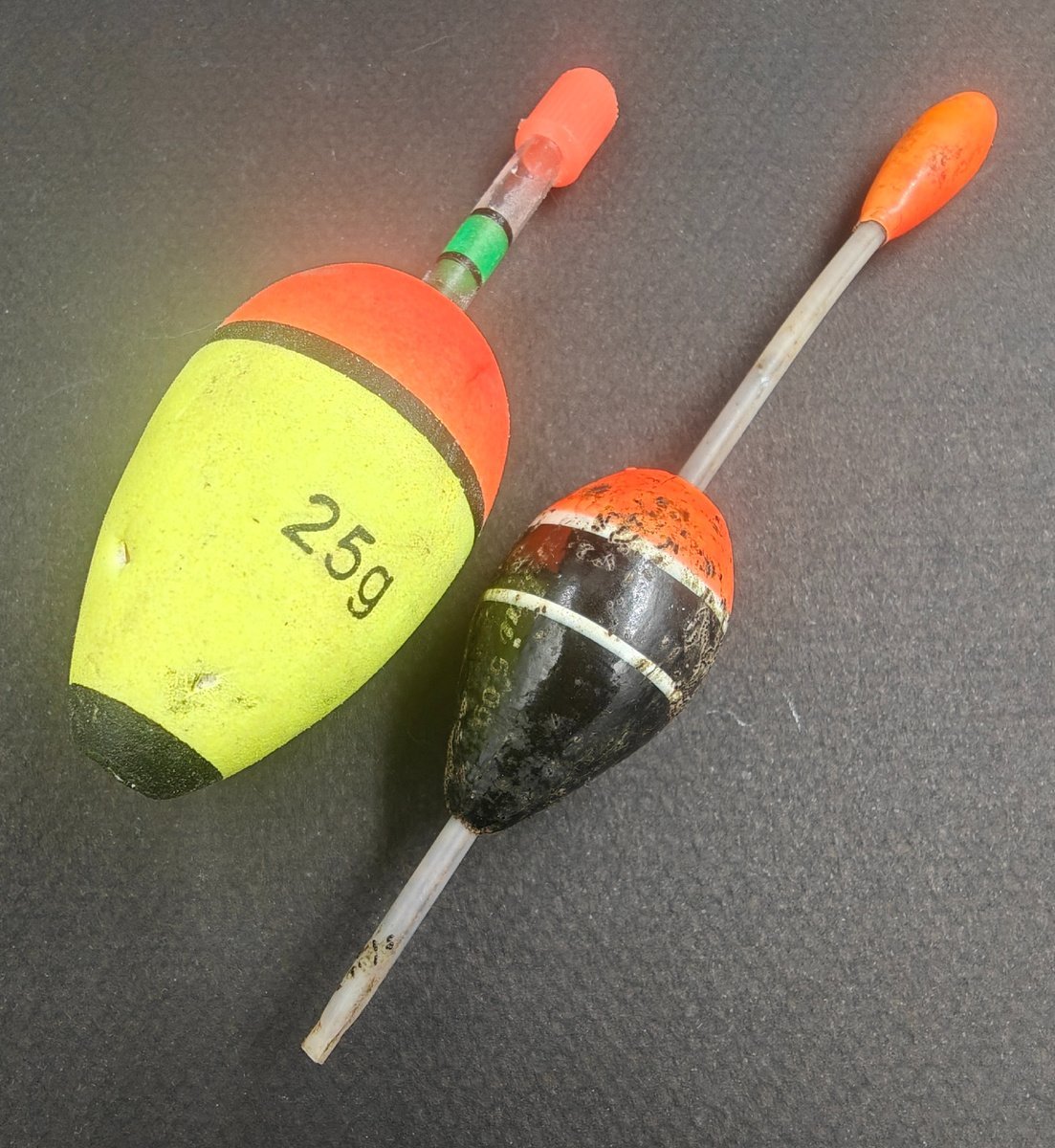 scale_1200.jpg