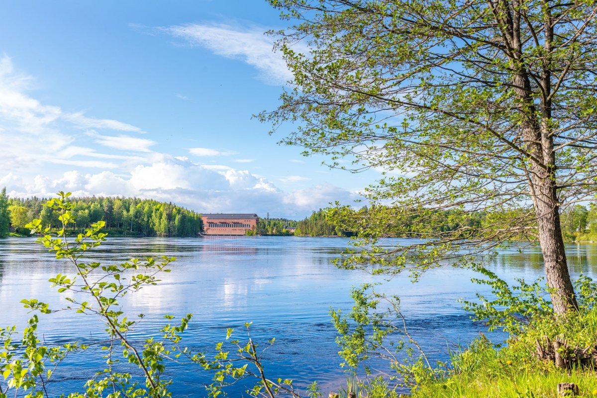 1259899325_Vuoksi(1).thumb.jpg.1f8f0a8380757ca0193edab01d97e319.jpg