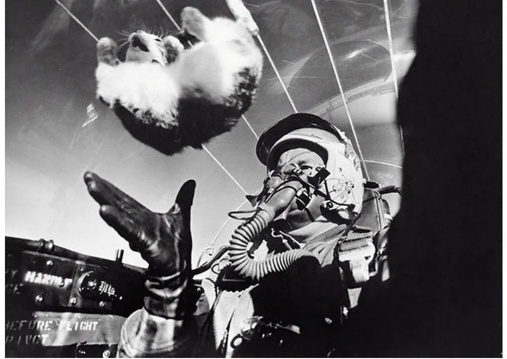 изображение.png