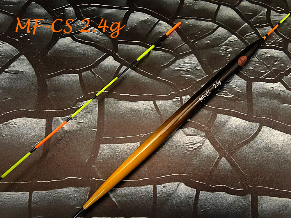 scale_1200 (1).png